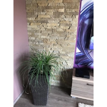 Keszthelyi kő 2 oldalt vágott 5cm